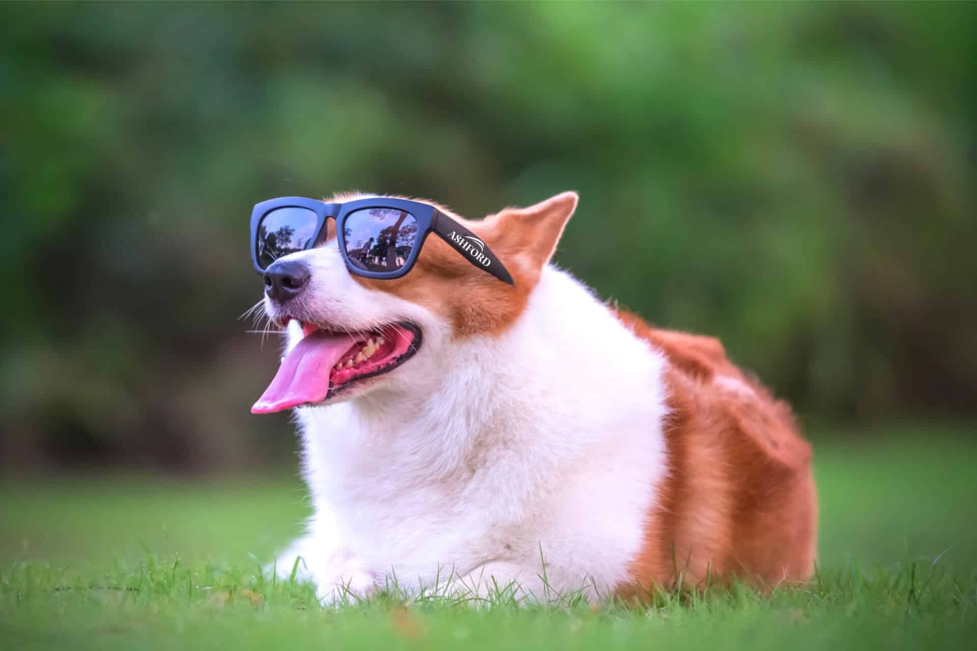 12 1